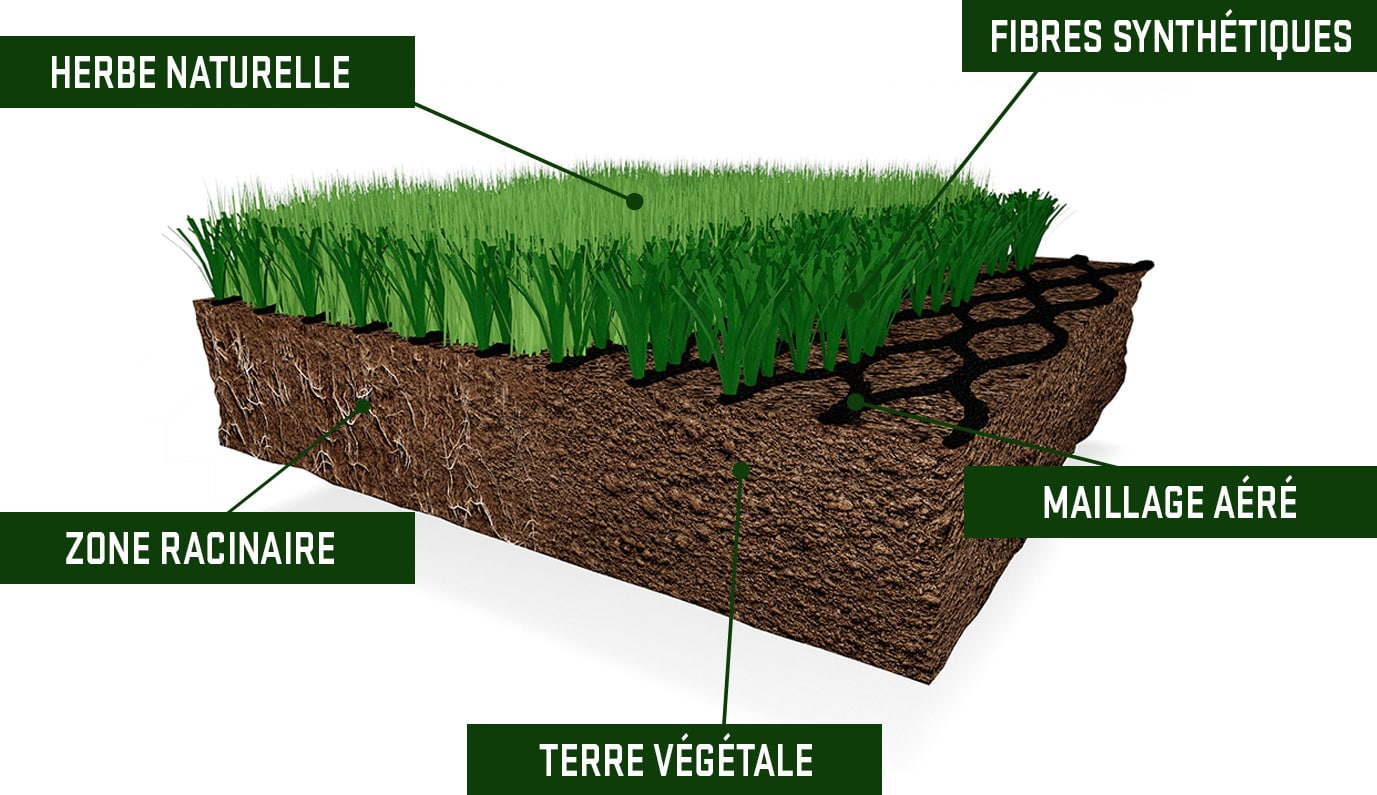 Nordic Lawn 3d