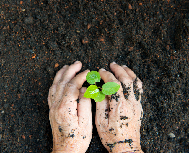 Notre geste pour l'environnement Realsport